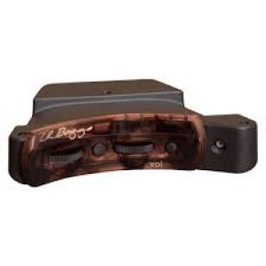 LR Baggs EAS with Session Preamp Pickup System